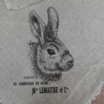 Ragged cloth bunny