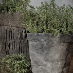 L22: Tuinposter sierlatten Tijm B