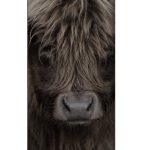 B4: Hooglander jong deco bord 20x55cm per 2 stuks