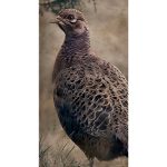 B6: deco bord Fazant per set van 2 stuks