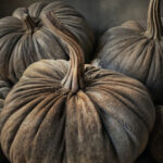 Canvas prent W4 Pompoenen