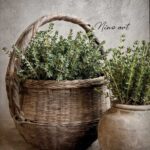 Wisselprint de mand Tym