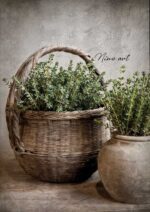 Wisselprint de mand Tym