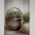 L42 tuinposter de mand en pot Tym