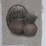 Shabby lap mand en pot tijm