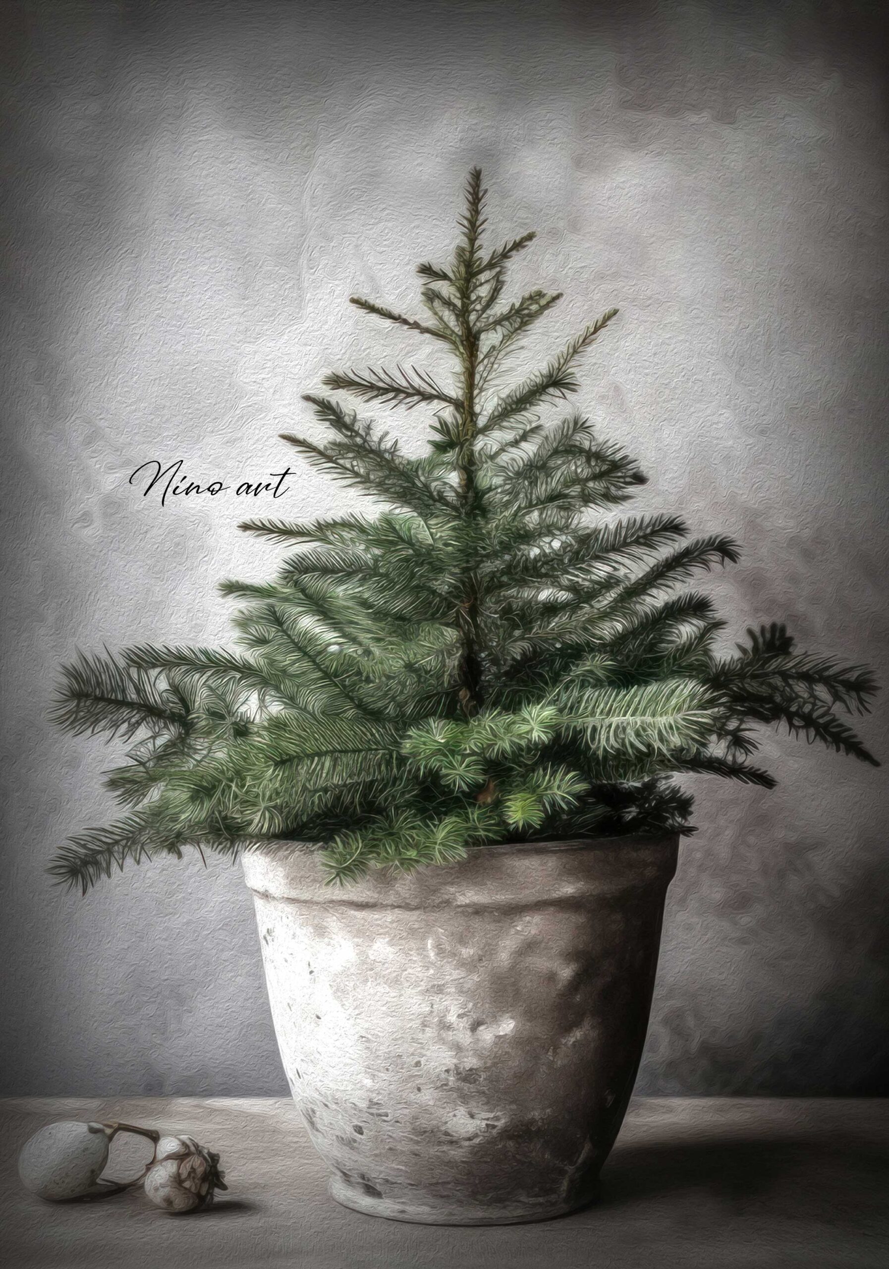 1-poster-boom-in-pot-104 Winterposter de boom en de pot - Afbeelding 1