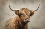 Inductiebeschermer Hooglander - Image 2