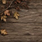 Inductiebeschermer Herfst bladeren