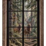 C210A tuinposter raamzicht Bosmagie